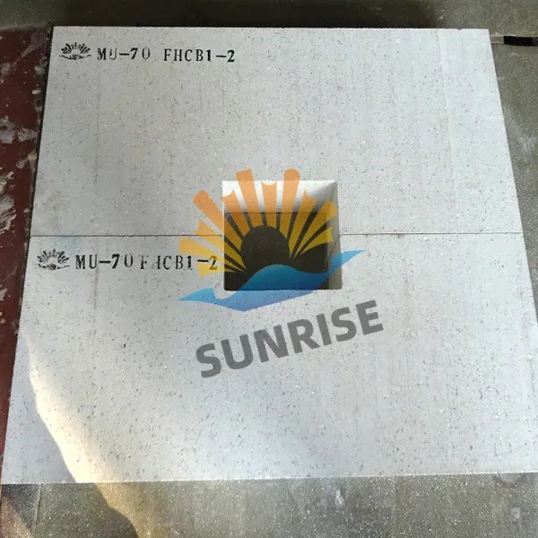 https://shmuker.oss-cn-hangzhou.aliyuncs.com/data/oss/60f05a43801008393c7f9067/66bb140363877f67361ec9e9/20240913112500/cast-big-mullite-brick-6.png