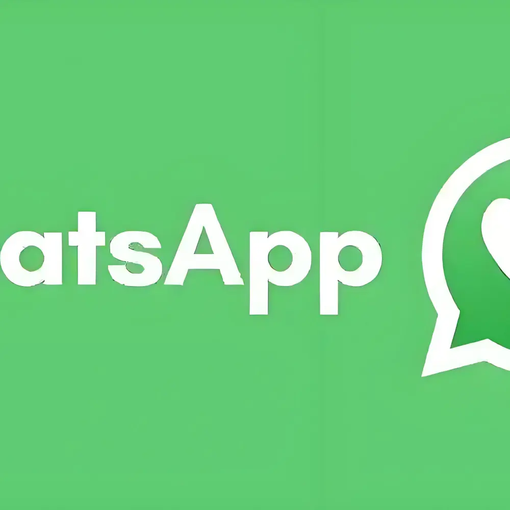 高效管理 WhatsApp 客户标签：外贸新手指南