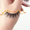 https://shmuker.oss-cn-hangzhou.aliyuncs.com/data/oss/643eba85f5b37d6cf4da3abe/65d16d7ec8f2c97966e38c95/Little-Devil-false-eyelashes-4.jpg