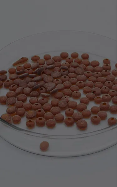 https://shmuker.oss-cn-hangzhou.aliyuncs.com/data/oss/65a77f7ece75e713c015cab0/65aa4318c2e9735675ca40c6/p-liebiao1.jpg