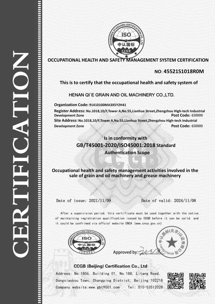 ISO Occupational Health and Safety Management system Certification-Qiyi Project