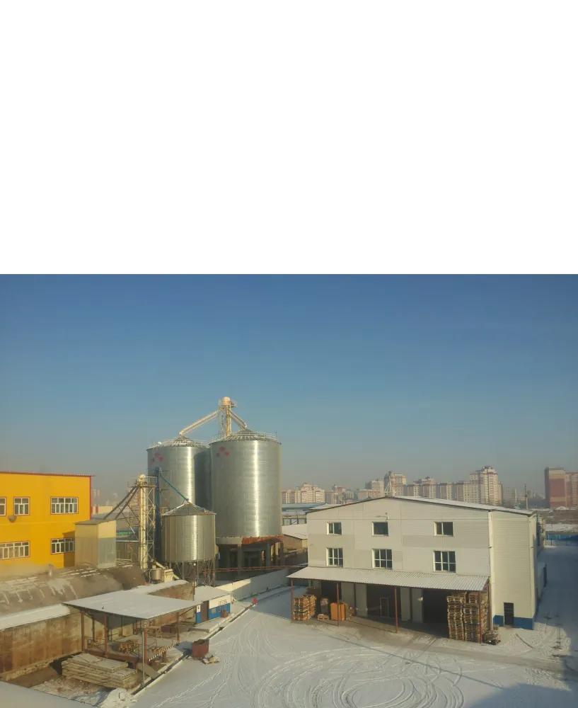 Opening a new era of efficient palm oil production - QI'E Group's fully automatic palm fruit/palm kernel oil pressing machine production line