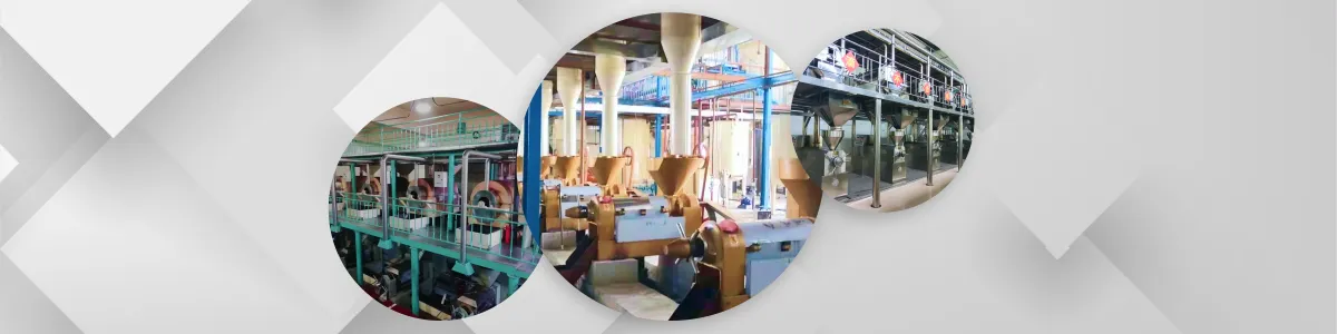 https://shmuker.oss-cn-hangzhou.aliyuncs.com/data/oss/65b068c3c2e9735675cac322/65b0a486107bc6700293c9bf/20241218162444/企鹅-花生油.png