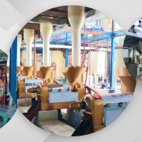 https://shmuker.oss-cn-hangzhou.aliyuncs.com/data/oss/65b068c3c2e9735675cac322/65b0a486107bc6700293c9bf/20241218162444/企鹅-花生油.png