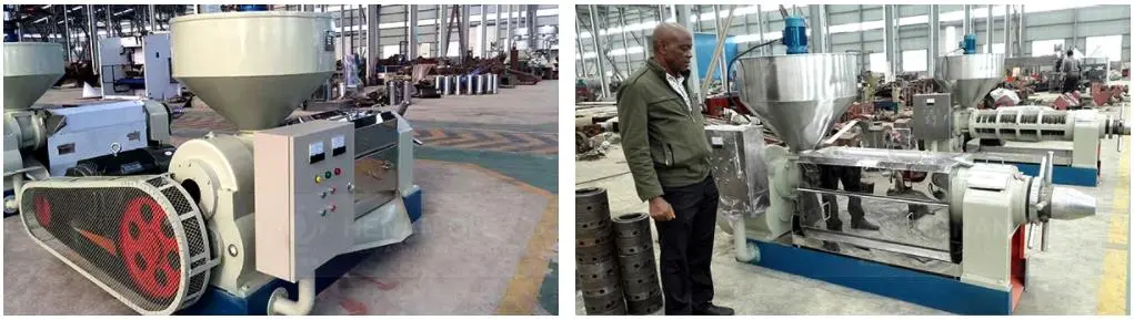 https://shmuker.oss-cn-hangzhou.aliyuncs.com/data/oss/65b068c3c2e9735675cac322/65b0a486107bc6700293c9bf/6YL-185%20螺旋榨油机-4.jpg