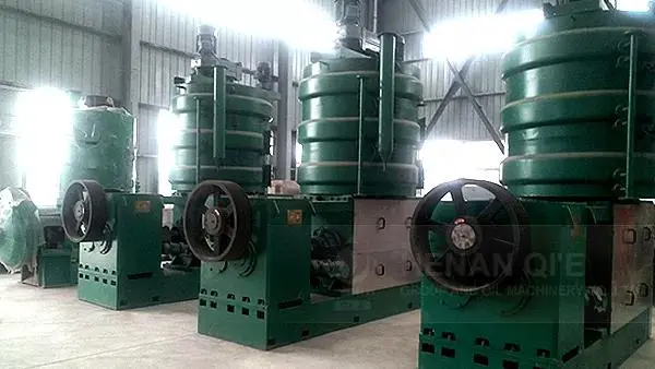 Large oil press-2.jpg