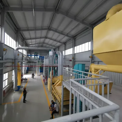https://shmuker.oss-cn-hangzhou.aliyuncs.com/data/oss/65b068c3c2e9735675cac322/65b0a486107bc6700293c9bf/棉籽-3.jpg
