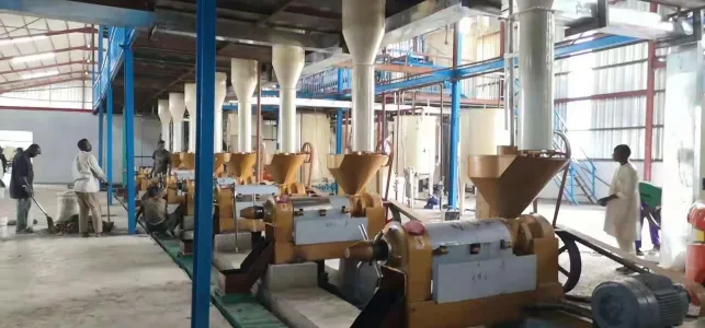 https://shmuker.oss-cn-hangzhou.aliyuncs.com/data/oss/65b068c3c2e9735675cac322/65b0a486107bc6700293c9bf/花生-1.jpg