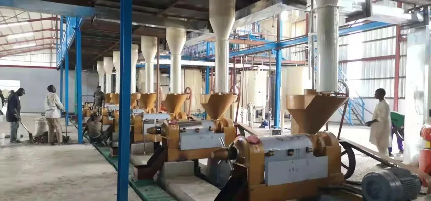 https://shmuker.oss-cn-hangzhou.aliyuncs.com/data/oss/65b068c3c2e9735675cac322/65b0a486107bc6700293c9bf/花生-1.jpg