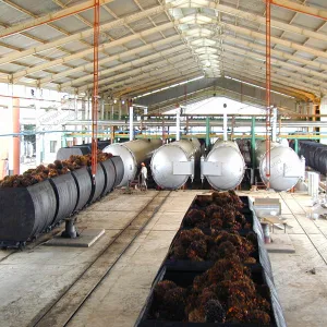 https://shmuker.oss-cn-hangzhou.aliyuncs.com/data/oss/65b068c3c2e9735675cac322/668263a4df9f6e7a1281439c/20240702095528/palm10-2.jpg