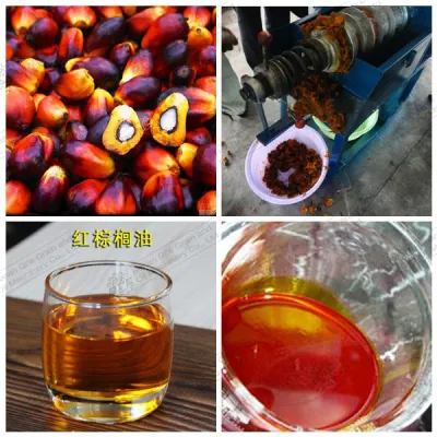 https://shmuker.oss-cn-hangzhou.aliyuncs.com/data/oss/65b068c3c2e9735675cac322/668263a4df9f6e7a1281439c/20240702101117/palm12-2.jpg