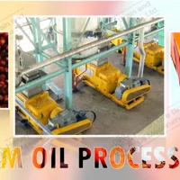 https://shmuker.oss-cn-hangzhou.aliyuncs.com/data/oss/65b068c3c2e9735675cac322/668263a4df9f6e7a1281439c/20240702101117/palm9-1.jpg