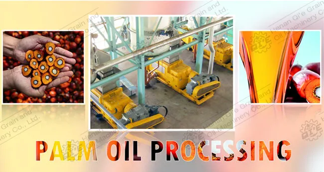 https://shmuker.oss-cn-hangzhou.aliyuncs.com/data/oss/65b068c3c2e9735675cac322/668263a4df9f6e7a1281439c/20240702101117/palm9-1.jpg