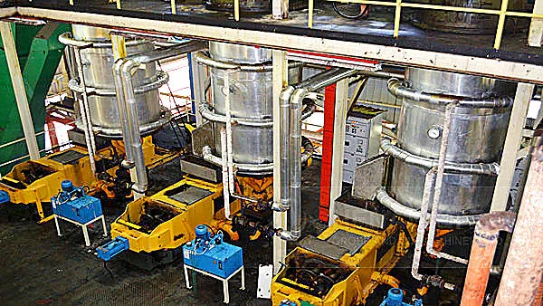 Sunflower Oil Extractor