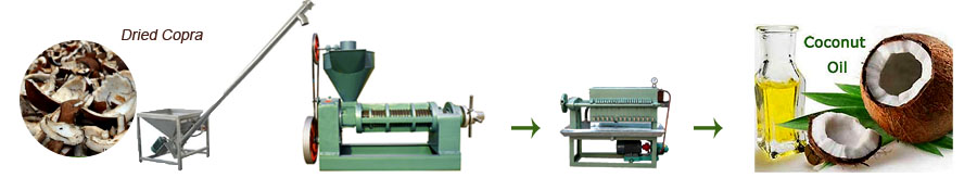 Seed Oil Extraction Machine