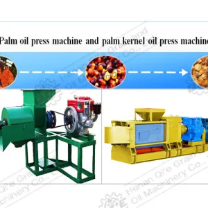 https://shmuker.oss-cn-hangzhou.aliyuncs.com/data/oss/65b068c3c2e9735675cac322/668263a4df9f6e7a1281439c/20240902144139/kernel3-1.jpg