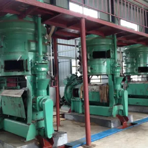 https://shmuker.oss-cn-hangzhou.aliyuncs.com/data/oss/65b068c3c2e9735675cac322/668263a4df9f6e7a1281439c/20240902145049/Castor-oil-pressing-machine.jpg