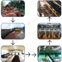 https://shmuker.oss-cn-hangzhou.aliyuncs.com/data/oss/65b068c3c2e9735675cac322/668263a4df9f6e7a1281439c/20240902155306/palm12-1.jpg