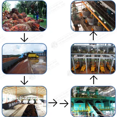 https://shmuker.oss-cn-hangzhou.aliyuncs.com/data/oss/65b068c3c2e9735675cac322/668263a4df9f6e7a1281439c/20240902155306/palm12-1.jpg