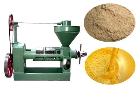 Cold-pressed-rice-bran-oil-press-machine.jpg