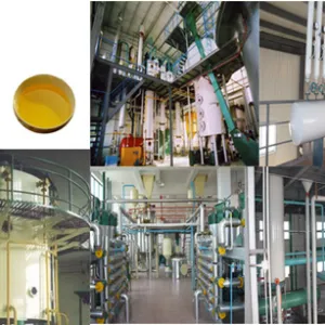 https://shmuker.oss-cn-hangzhou.aliyuncs.com/data/oss/65b068c3c2e9735675cac322/668263a4df9f6e7a1281439c/20241119143806/Soybean-oil-solvent-extraction-machine.jpg