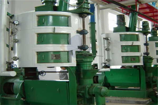 https://shmuker.oss-cn-hangzhou.aliyuncs.com/data/oss/65b068c3c2e9735675cac322/668263a4df9f6e7a1281439c/20241127151317/files_00010031.jpg