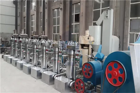 https://shmuker.oss-cn-hangzhou.aliyuncs.com/data/oss/65b068c3c2e9735675cac322/668263a4df9f6e7a1281439c/20241127151317/randimg00015.jpg