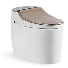 Smart toilet Z-88018 electronic champagne gold