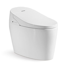 Smart Toilet Z-88019