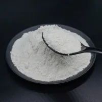 https://shmuker.oss-cn-hangzhou.aliyuncs.com/data/oss/6630849d58252f25c99f2e03/663dd94eb3b78b5159cd8f40/20240618162032/Kieserite%20powder.jpg