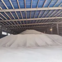 https://shmuker.oss-cn-hangzhou.aliyuncs.com/data/oss/6630849d58252f25c99f2e03/663dd94eb3b78b5159cd8f40/20240618165804/845be385-e05d-4db1-a43b-7299da2958db.jpg