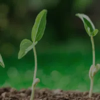 https://shmuker.oss-cn-hangzhou.aliyuncs.com/data/oss/6630849d58252f25c99f2e03/663dd94eb3b78b5159cd8f40/20240620183610/营销图片1.png