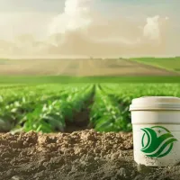 https://shmuker.oss-cn-hangzhou.aliyuncs.com/data/oss/6630849d58252f25c99f2e03/663dd94eb3b78b5159cd8f40/20240724162054/1721809270832_AI营销图片4.png