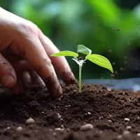 https://shmuker.oss-cn-hangzhou.aliyuncs.com/data/oss/6630849d58252f25c99f2e03/663dd94eb3b78b5159cd8f40/20240816173249/fertilizer-marketing-21.png