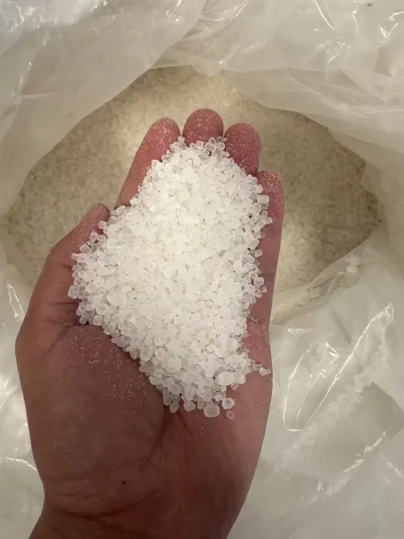 Premium Ammonium Sulfate for Large-Scale Farms