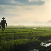 https://shmuker.oss-cn-hangzhou.aliyuncs.com/data/oss/6630849d58252f25c99f2e03/663dd94eb3b78b5159cd8f40/20240827181427/fertilizer-marketing-30.jpg