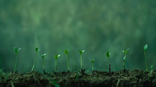 https://shmuker.oss-cn-hangzhou.aliyuncs.com/data/oss/6630849d58252f25c99f2e03/663dd94eb3b78b5159cd8f40/20240914154731/fertilizer-marketing-38.jpg