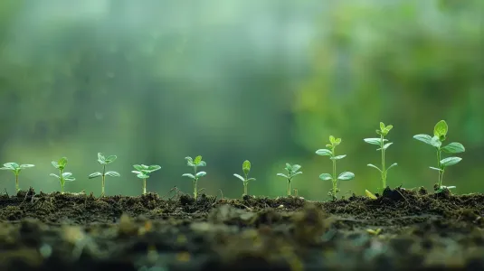 https://shmuker.oss-cn-hangzhou.aliyuncs.com/data/oss/6630849d58252f25c99f2e03/663dd94eb3b78b5159cd8f40/20240914154731/fertilizer-marketing-39.jpg