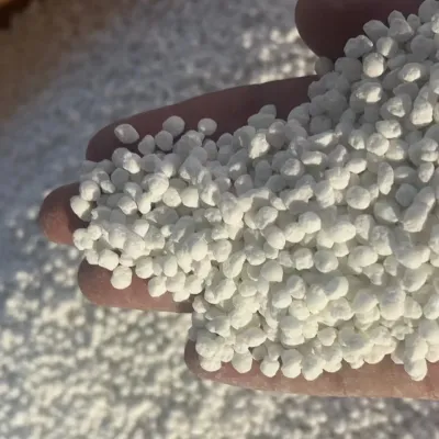 Comparative Analysis of Organic and Chemical Nitrogen Fertilizers