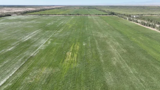 DJI_0364.JPG