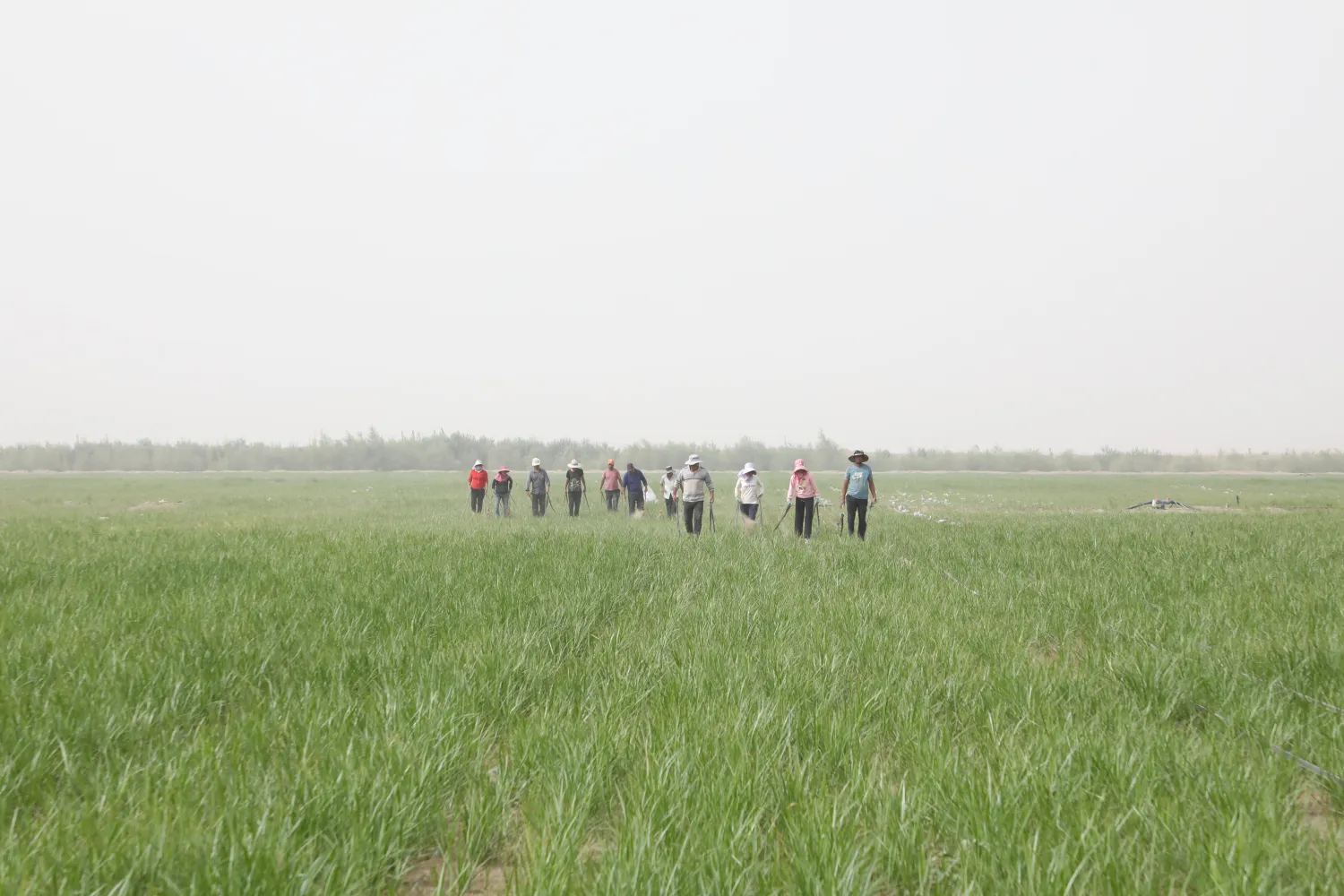 https://shmuker.oss-cn-hangzhou.aliyuncs.com/data/oss/66cd4b7bc6e5353160e922f6/66ce8ca26776370119ff3671/20240902151227/B72A1969.JPG