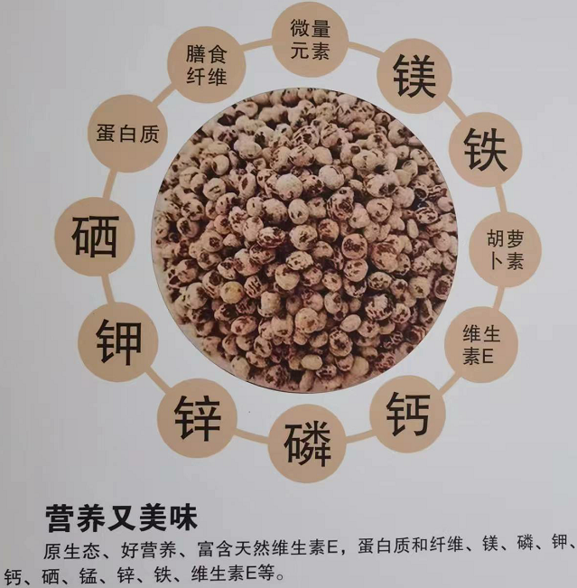 Composición nutricional del tigernut