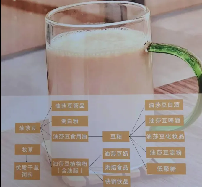 https://shmuker.oss-cn-hangzhou.aliyuncs.com/data/oss/66cd4b7bc6e5353160e922f6/66ce8ca26776370119ff3671/20250321173127/豆1129.png