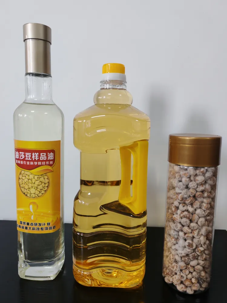 https://shmuker.oss-cn-hangzhou.aliyuncs.com/data/oss/66cd4b7bc6e5353160e922f6/66ce8ca26776370119ff3671/20250321173127/豆241127-1%20(2).jpg