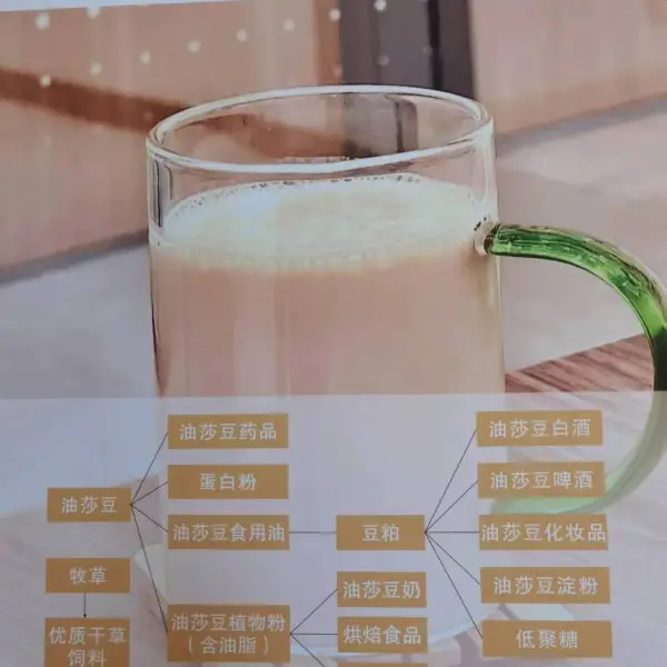 https://shmuker.oss-cn-hangzhou.aliyuncs.com/data/oss/66cd4b7bc6e5353160e922f6/66ce8ca26776370119ff3671/20250321173127/豆241127-6.jpg