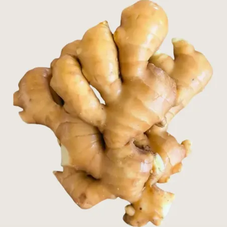 Exceptional Fresh Ginger-1