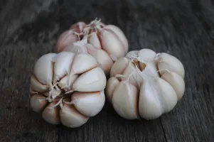 Gewürztes Gemüse