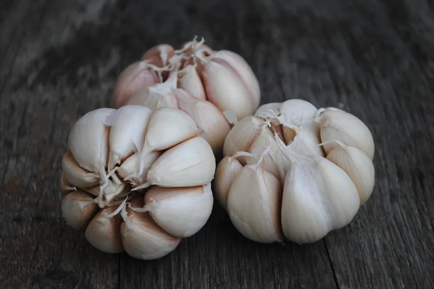 Fresh-Garlic-2.png