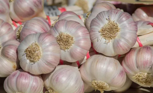 Ganzjährig stabile Versorgung mit hochwertigem chinesischem Knoblauch!