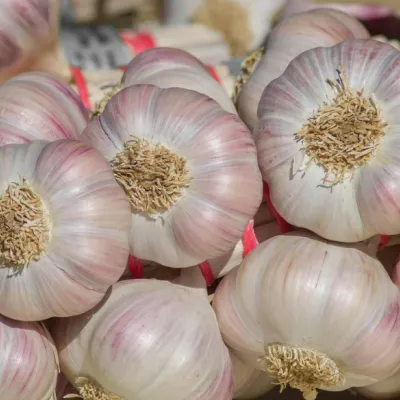 Ganzjährig stabile Versorgung mit hochwertigem chinesischem Knoblauch!
